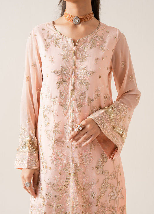 Embroidered Chiffon ELYNA