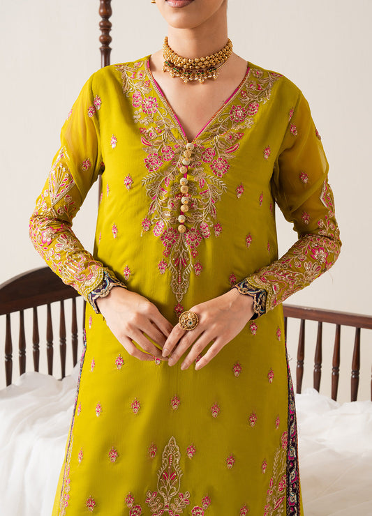 Embroidered Chiffon REINE