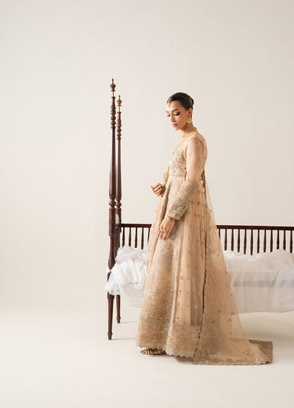 Embroidered Chiffon INÈS