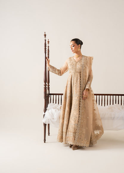 Embroidered Chiffon INÈS