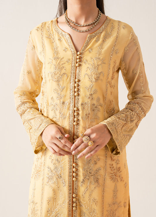 Embroidered Chiffon LYA